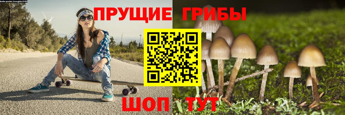как найти закладки  Галлюциногенные грибы MAGIC MUSHROOMS  Вход с VPN  Черкесск 