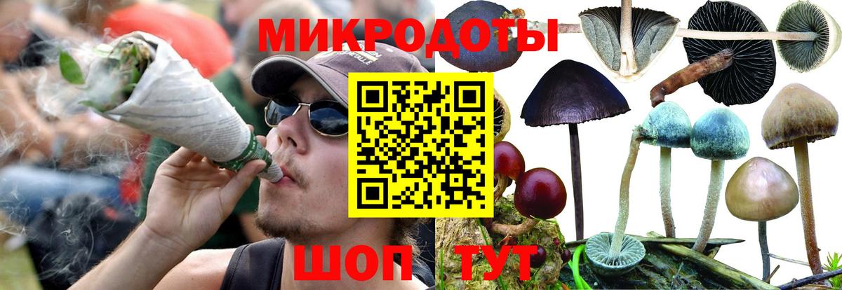 Псилоцибиновые грибы Magic Shrooms Черкесск